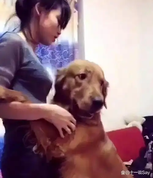 单身女性为啥喜欢养狗?女子和狗同吃同睡,半夜肚疼差点酿成大祸