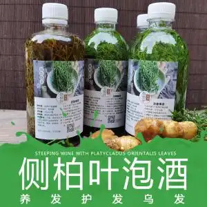 野生侧柏叶泡酒防脱生发增发水乌发酒精泡叶新鲜老生姜脂溢性脱发