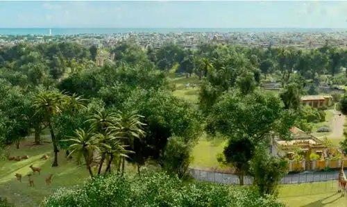 少年派中的派出生在哪里