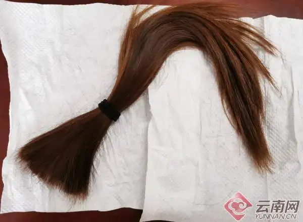 共同抗疫滇鄂情丨驰援前,她们剪去留了十几年的长发