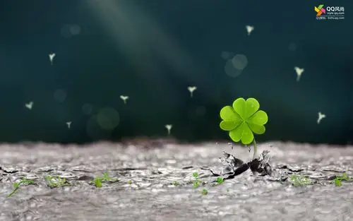 qq风尚壁纸第七辑