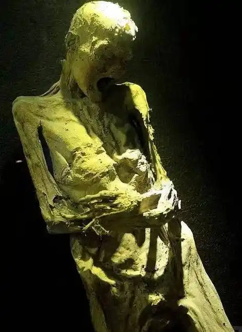 世界上最恐怖的人尸博物馆姿态蜷缩扭曲你敢去吗