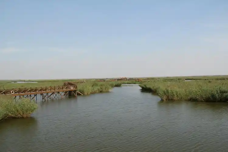 天津七里海国家湿地公园真的很美