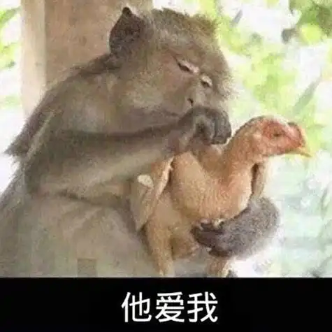 都会需要一些搞笑好玩的表情包,所以今天带了一组小猴子拔鸡毛表情包
