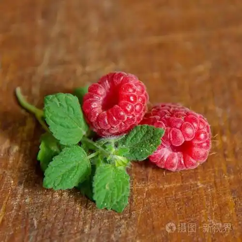 成熟的多汁树莓在自然木背景与叶子薄荷