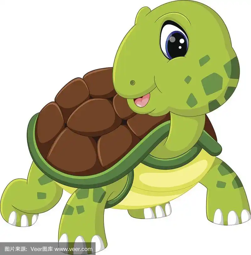 海龟,动画片,可爱的,野生动物,小的