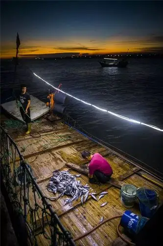 (福建三明) 使用佳能5d3摄于三明《深夜过客》 陈梦婷(福建福州) 摄于