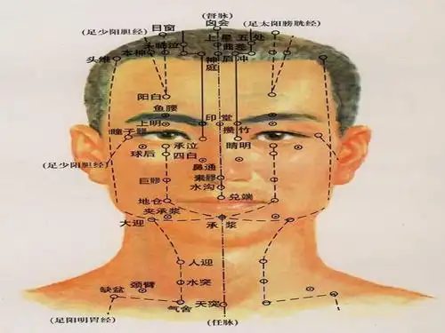 卫生 中医中药 5,面部穴位上一页第3页 下一页 你可能喜欢 全身经络图