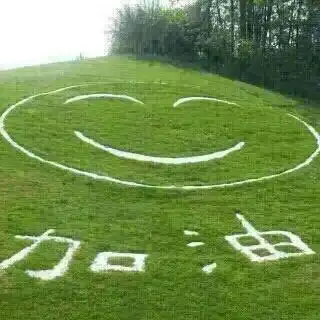 生活越来越好向上