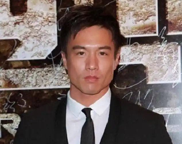 原创70后男艺人的爱情爱过李玟爱过谢婷婷最后娶外国女子为妻