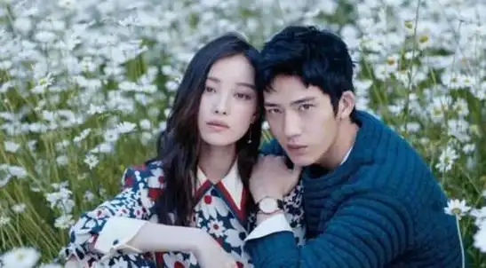 央视力推!没想到井柏然和倪妮分手后,竟以这样方式打出了王炸