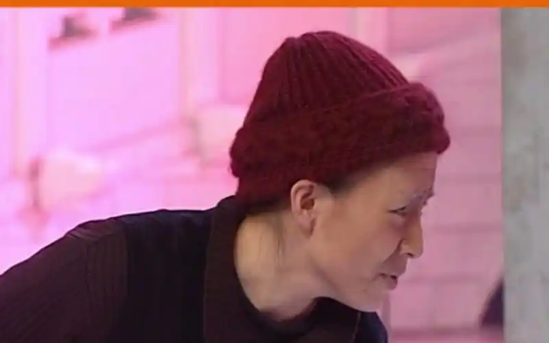 活动作品老伴赵本山宋丹丹