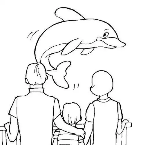 简笔画海豚表演