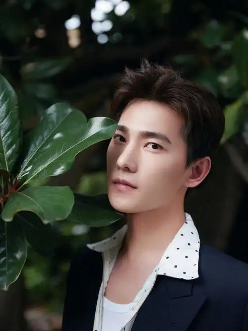 审美累积杨洋夏日胶片写真