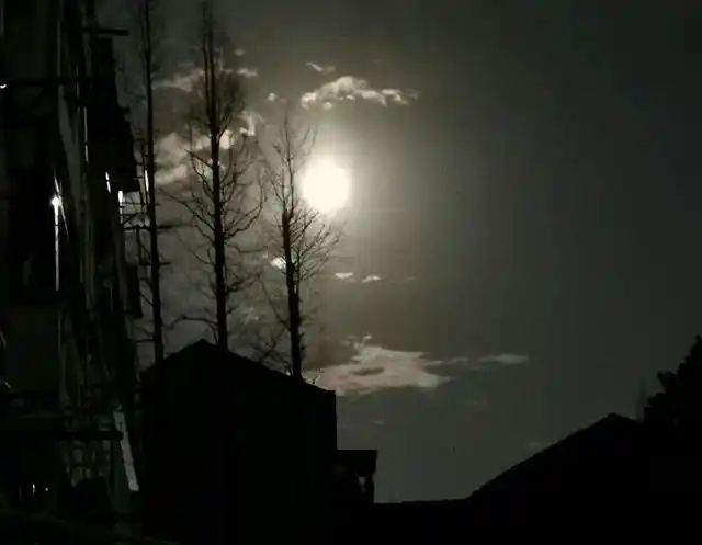 没有星星的夜里