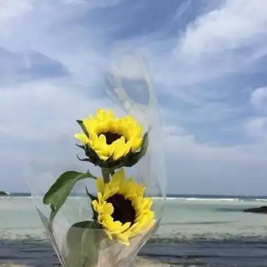 唯美风景头像图片大全高清曾经那些美好的记忆