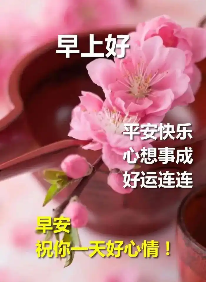 周二清晨温馨的早上好祝福问候短句,早晨最美的早安问候文字图片