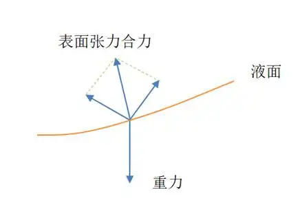 生活中的表面张力