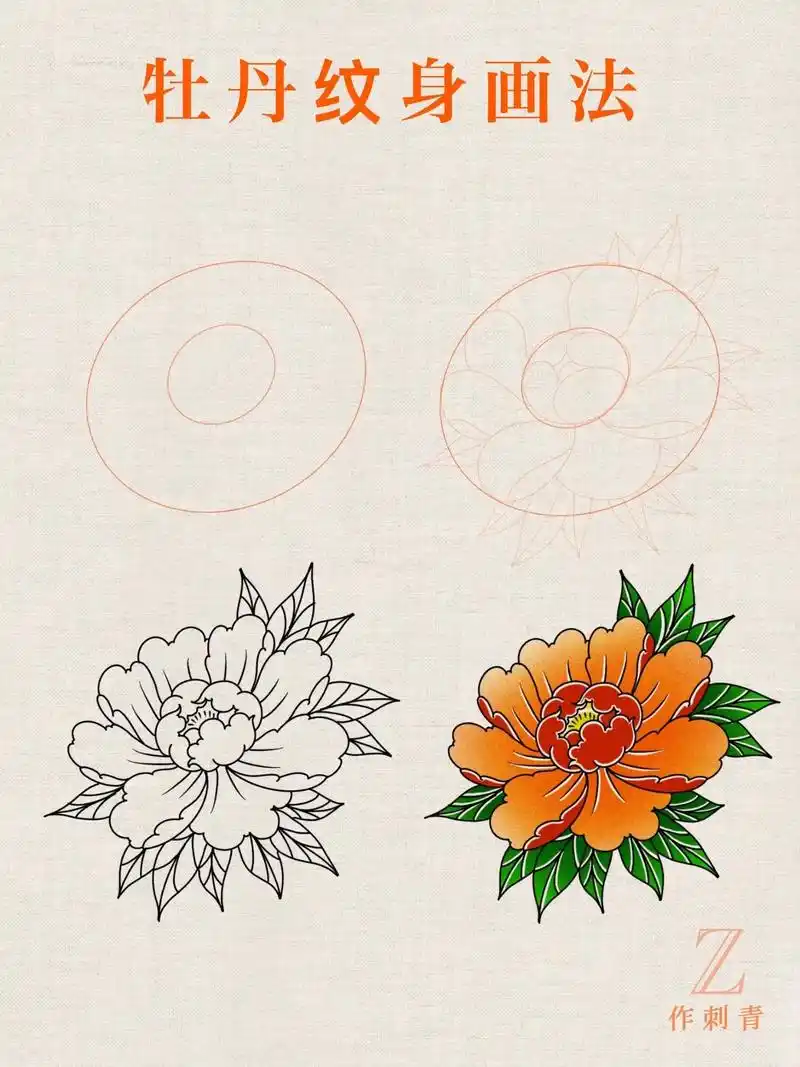 牡丹画法.纹身手稿收藏版:牡丹花结构,画法步骤图泰安纹身 - 抖音