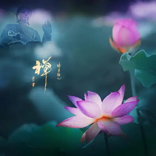 六月荷···花开见佛