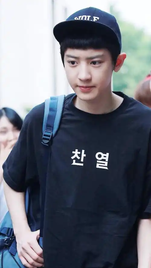 安利前几年朴灿烈的机场fashion