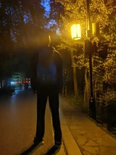 雪哥黑夜中行走背影,坚定而高大