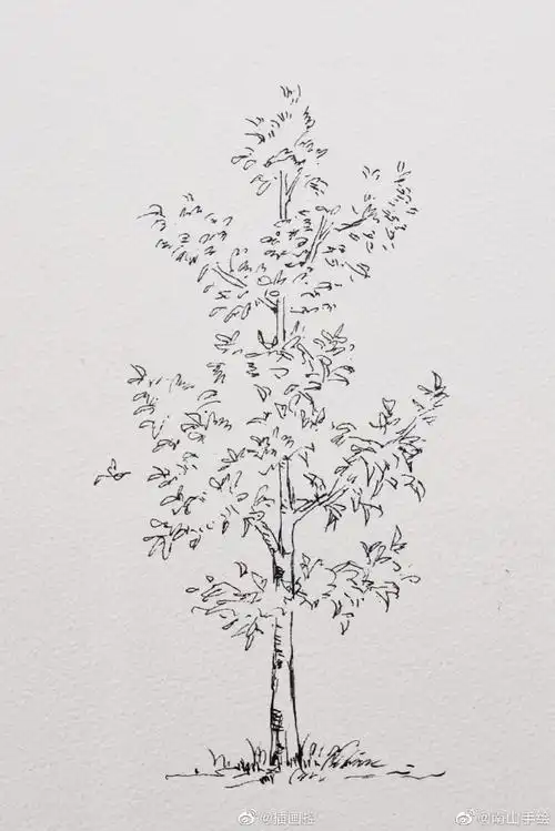 #手绘插画##手绘#