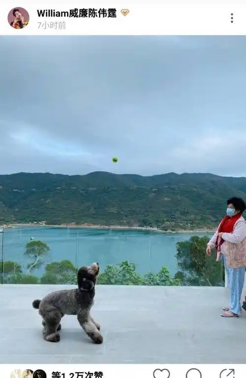 陈伟霆晒妈妈逗狗画面意外曝光家中豪宅依山傍水似人间仙境