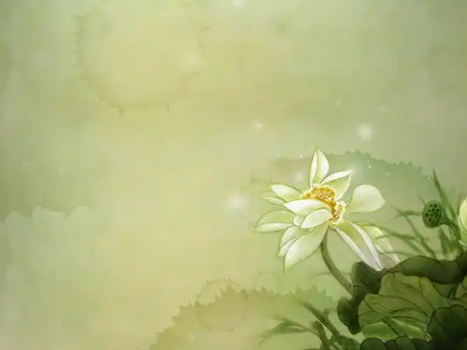淡雅ppt荷花背景