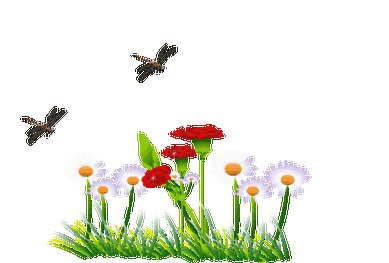 透明gif动画花草素材 【3】