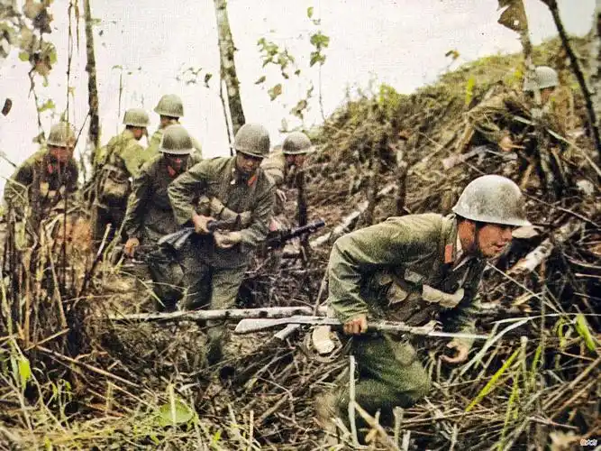 【历史故事】对越自卫反击战:看见两份文件后,去联