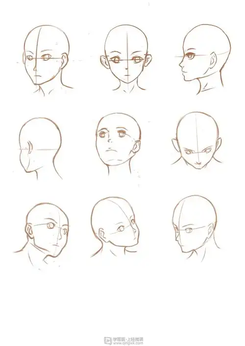 作业:动漫人物头部仰视,俯视的画法训练 - ならく - 轻微课