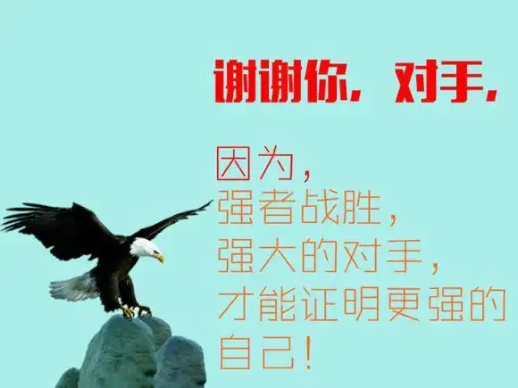 感恩对手!真心感恩有你,有你们!让我警醒!让我知道,什么叫如履薄冰!
