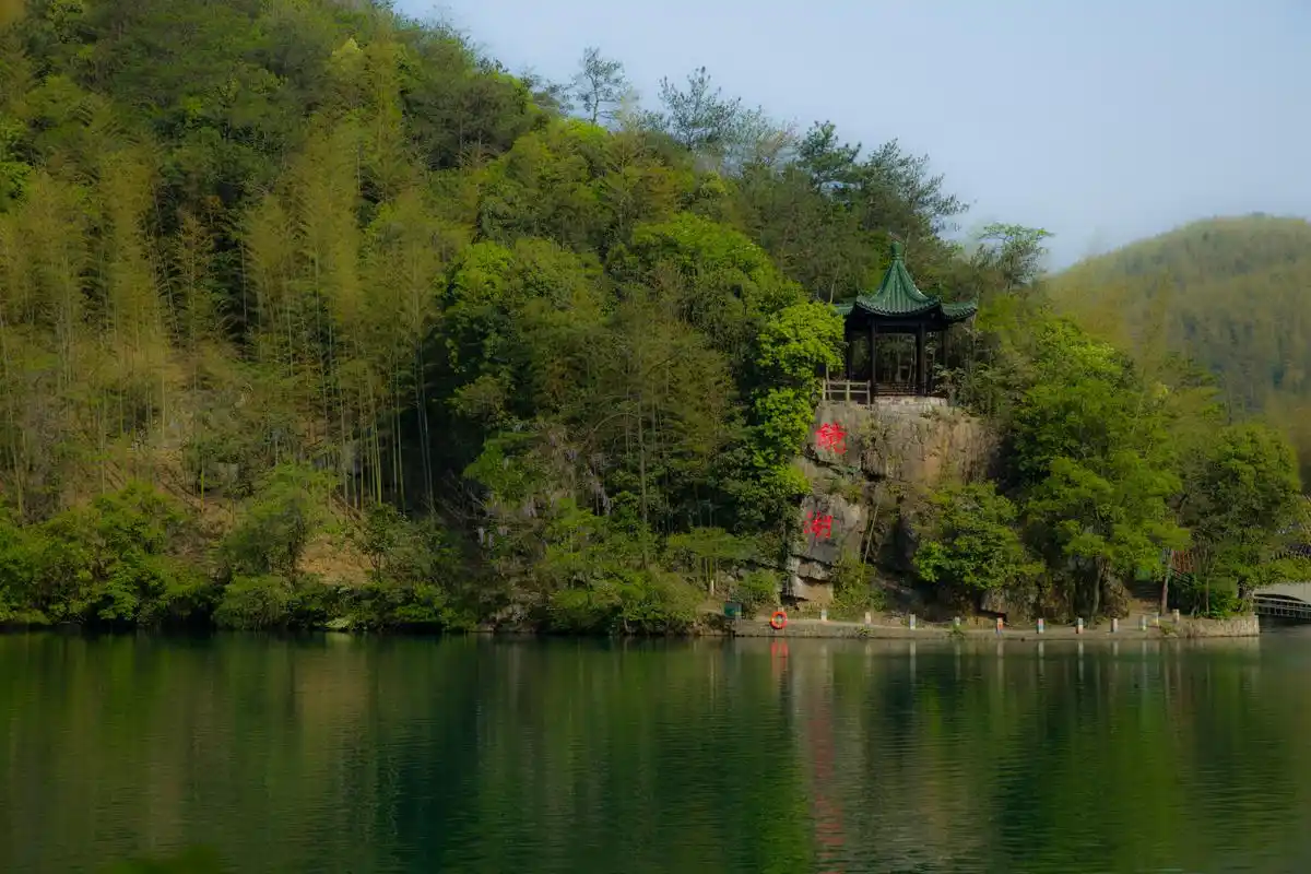 无锡宜兴竹海素有"华东第一竹海"之称,景区内共有近20万亩的竹子.