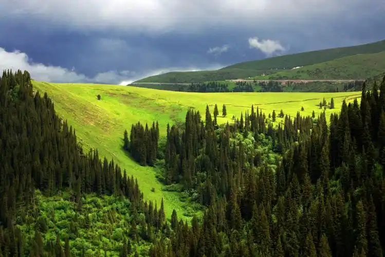 其它 壮丽峻岭高山草原 写美篇  美景横贯天山,汇聚奇特惊艳.