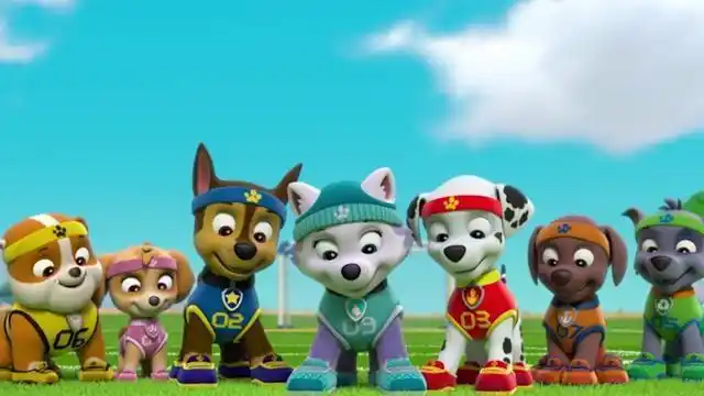 汪汪队立大功:莱德和狗狗们的故事,告诉了我们什么?