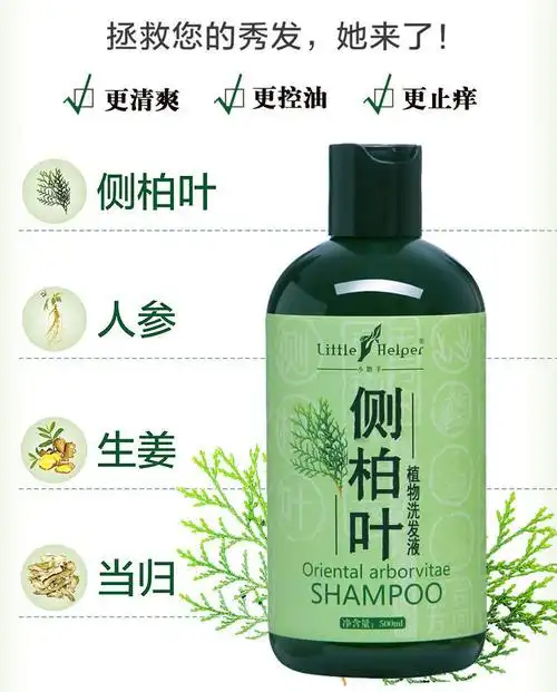 侧柏叶生姜洗发水小助手侧柏叶植物控油洗发水酸性生姜汁人参当归去屑