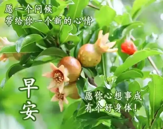 原创特别好看早晨早安表情动态图大全每天温暖的早上好问候短信