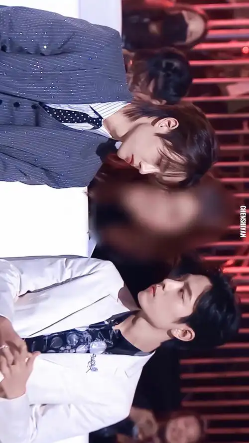 肖战 王一博星光大赏