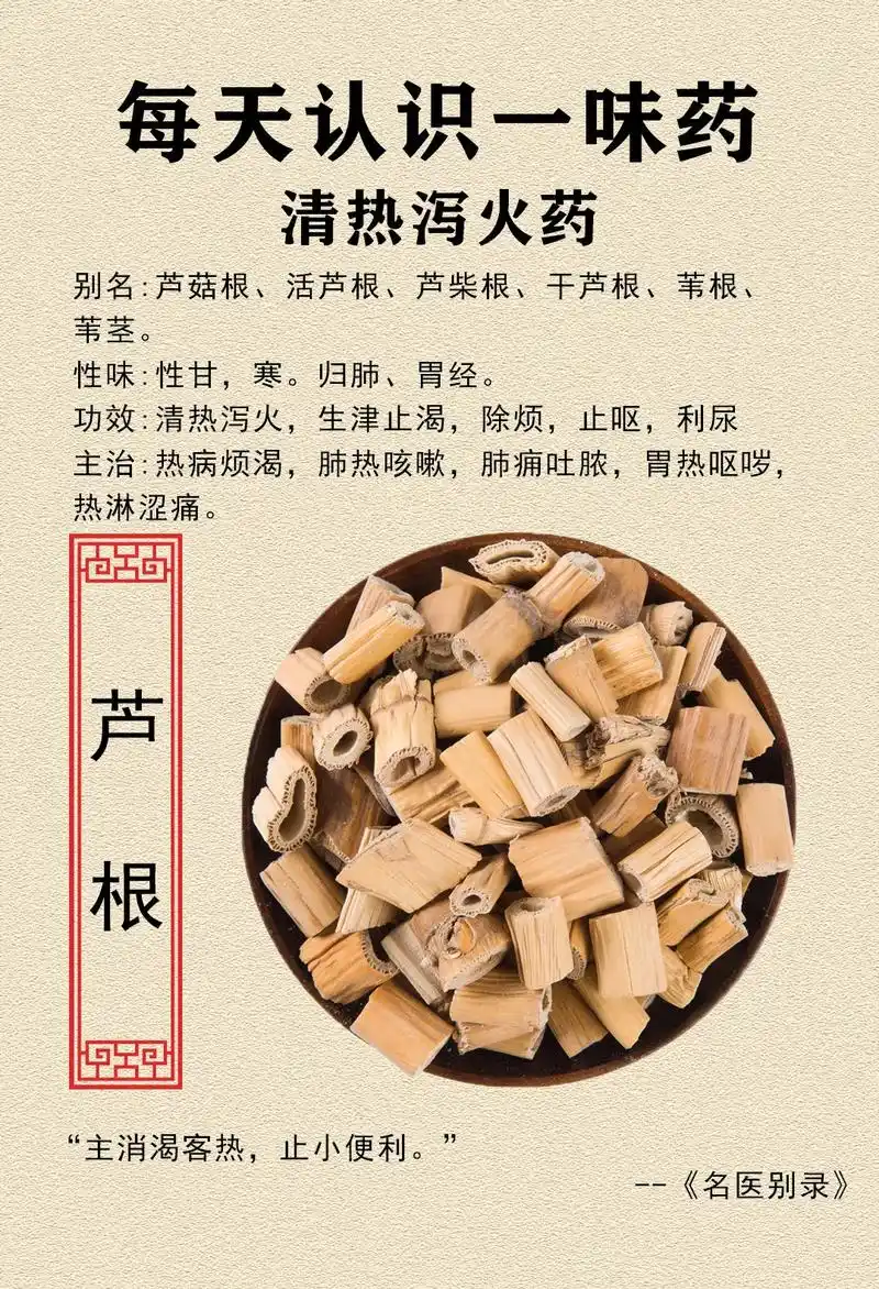 每天认识一味药--芦根.芦根来源:为禾本科多年生草本芦苇的根 - 抖音