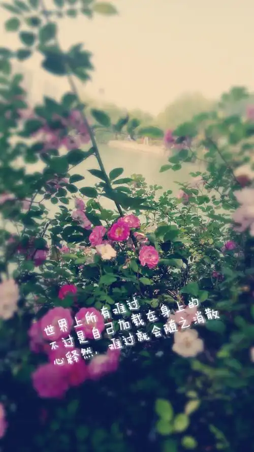 释然- 堆糖,美图壁纸兴趣社区