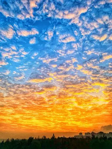 天空,傍晚,夕阳,云彩,金色