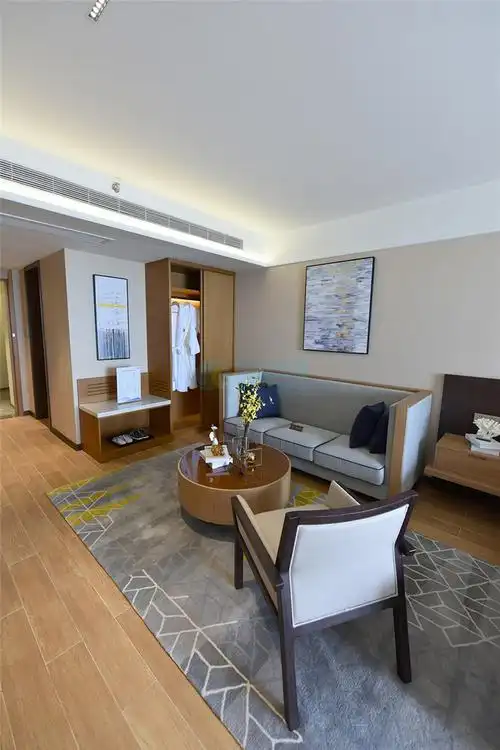 b户型大开间 39㎡样板间:客厅