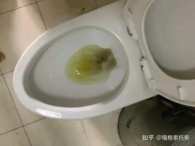 喵格索托斯 的想法: 刚刚把胆汁吐出来了,怎么说呢,感觉不如… - 知乎