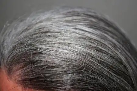 男子的肖像在白色背景成年的白发男子成年的白发男子自信和成功的老