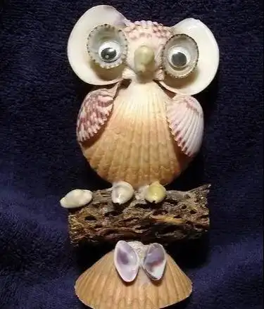 不起眼的贝壳粘起来,一不小心成了艺术品,贝壳亲子手工附教程