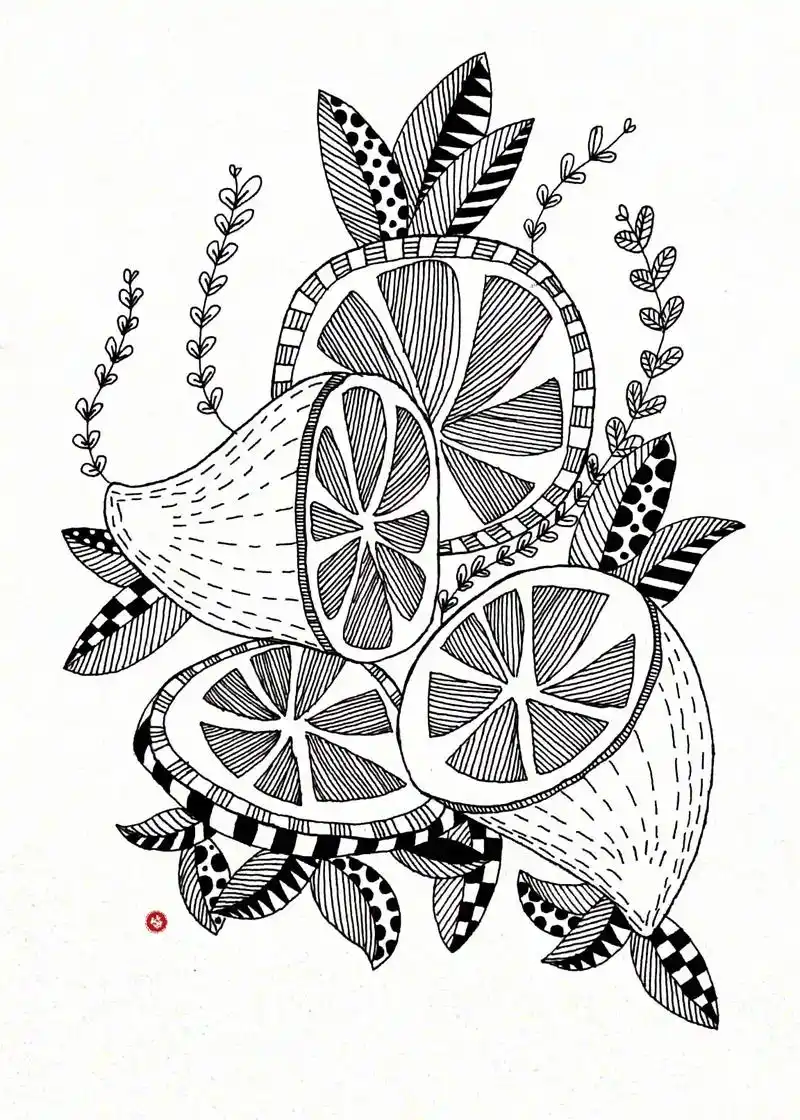 线描画/临摹-柠檬 #黑白线描装饰画 #线描画 #创意线描  - 抖音