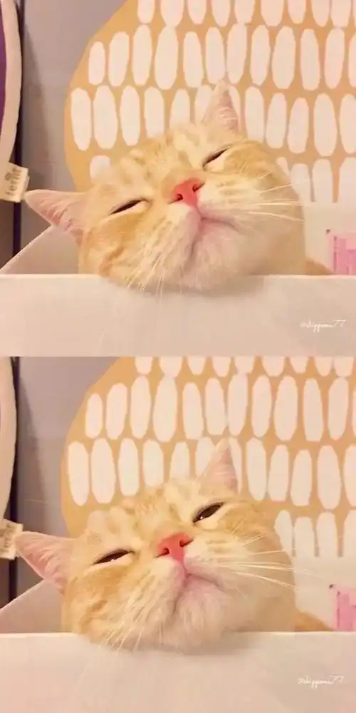 可爱小清新唯美温暖治愈系手机壁纸高清无水印