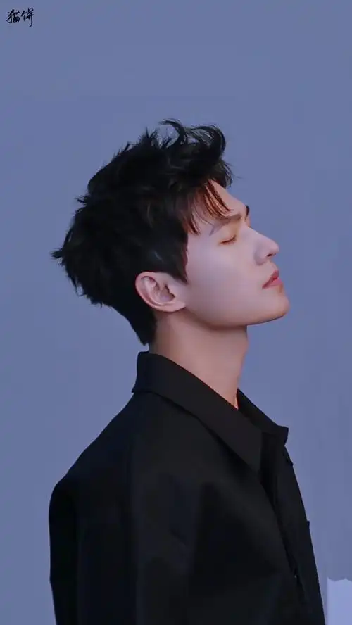 杨洋羊毛卷发型