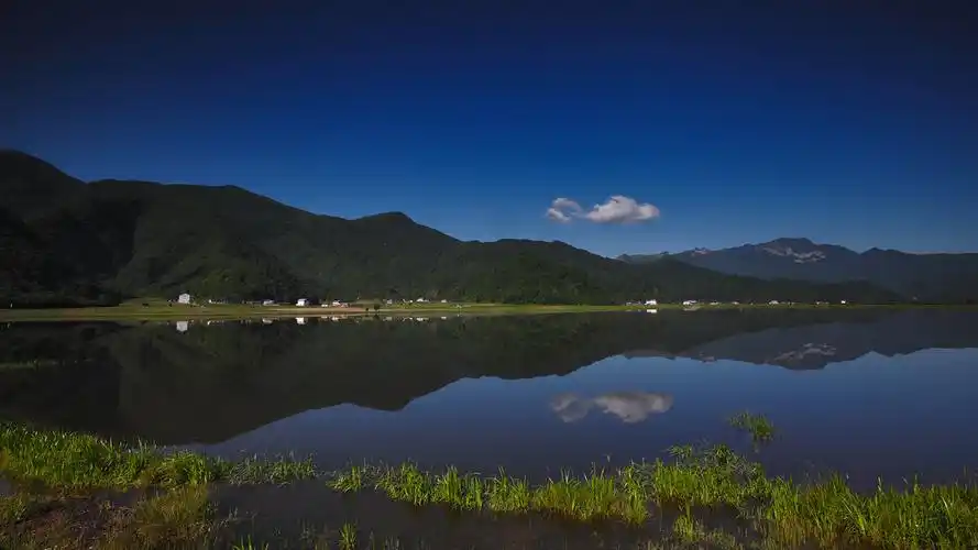 湖北·大九湖 - 风光 - 24k - 图虫摄影网